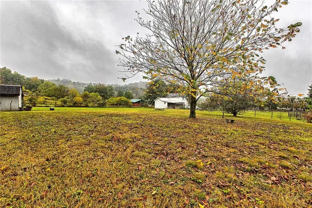 a view of a green field