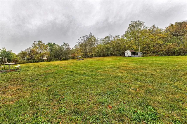 a view of a field with trees in the background