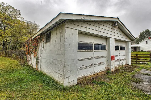 a view of a park with large trees