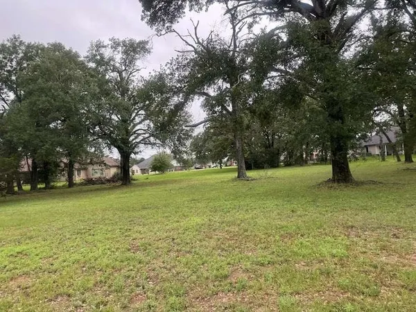 $85,306 | Lot 63 Birdie Drive, Hempstead, TX 77445