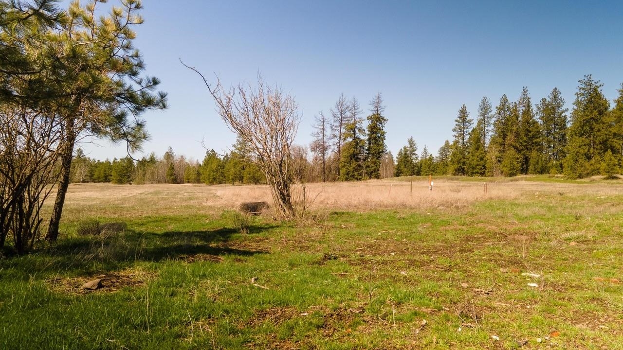 13818 South Keeney Road Spokane, WA 99224 - Photo 19 of 35