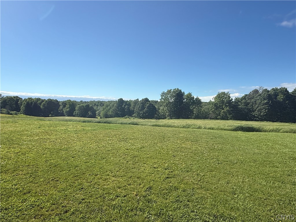 2352 County Rte 15 Sandy Creek, NY 13145 - Photo 8 of 36