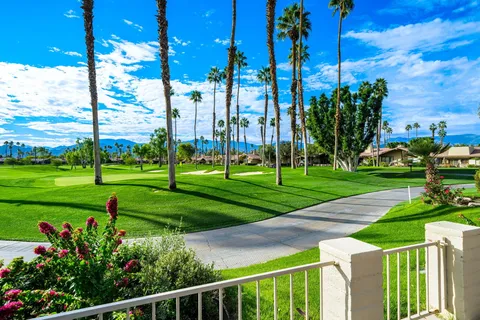 a view of a park with large trees
