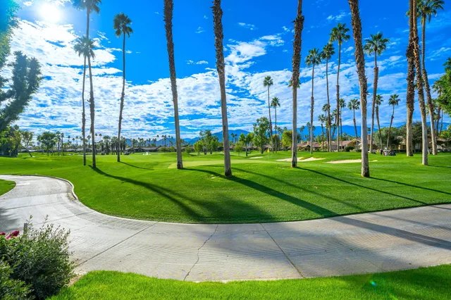 a view of a park with tall trees