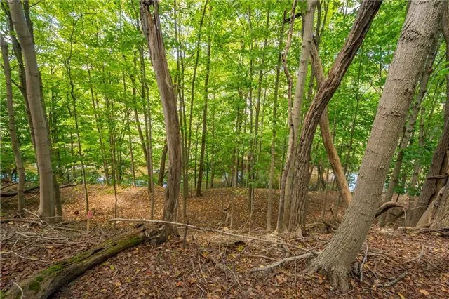 $29,900 | 0 Piersol Avenue, Bentleyville, PA 15317