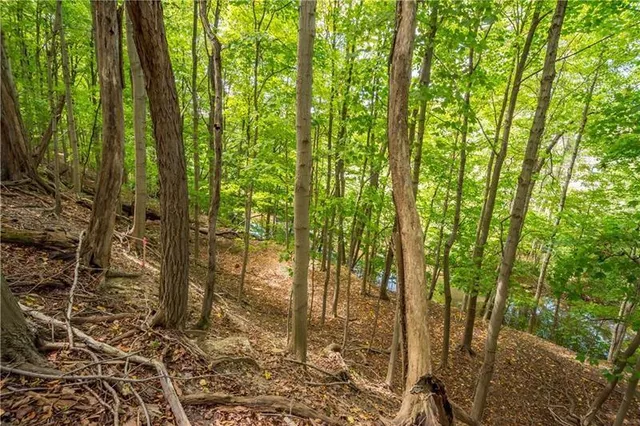 $29,900 | 0 Piersol Avenue, Bentleyville, PA 15317