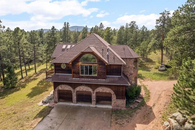a view of a lush green field with lots of bushes