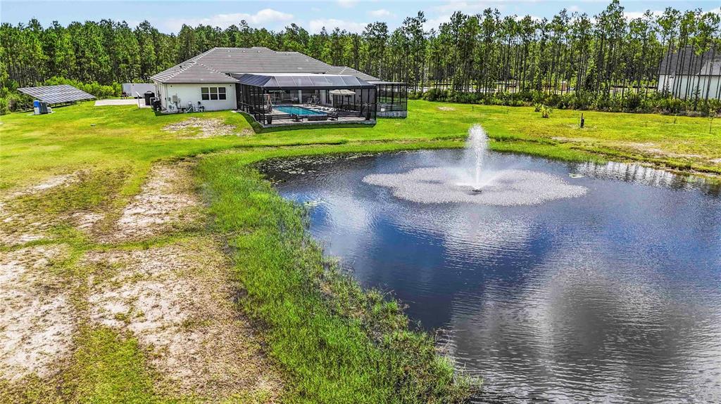 113 Spring Rise Circle Bunnell, FL 32110 - Photo 42 of 45 a view of a swimming pool with lawn chairs and large trees