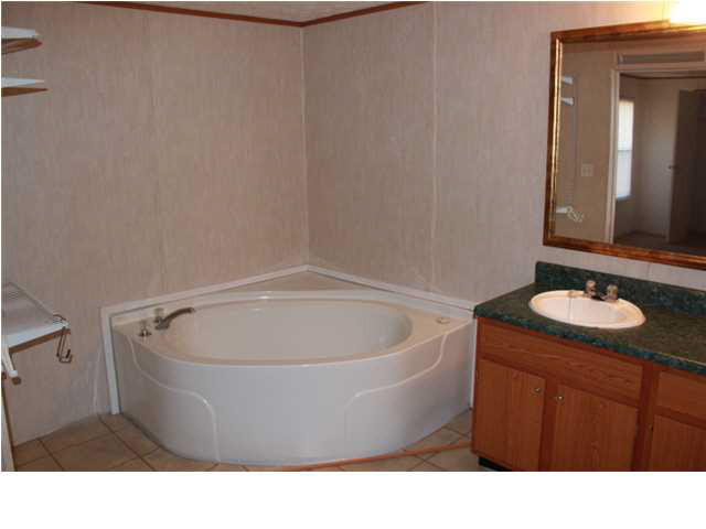 1960 George Road Terry, MS 39170 - Photo 8 of 15 Master Bath with Corner Unit Garden Tub