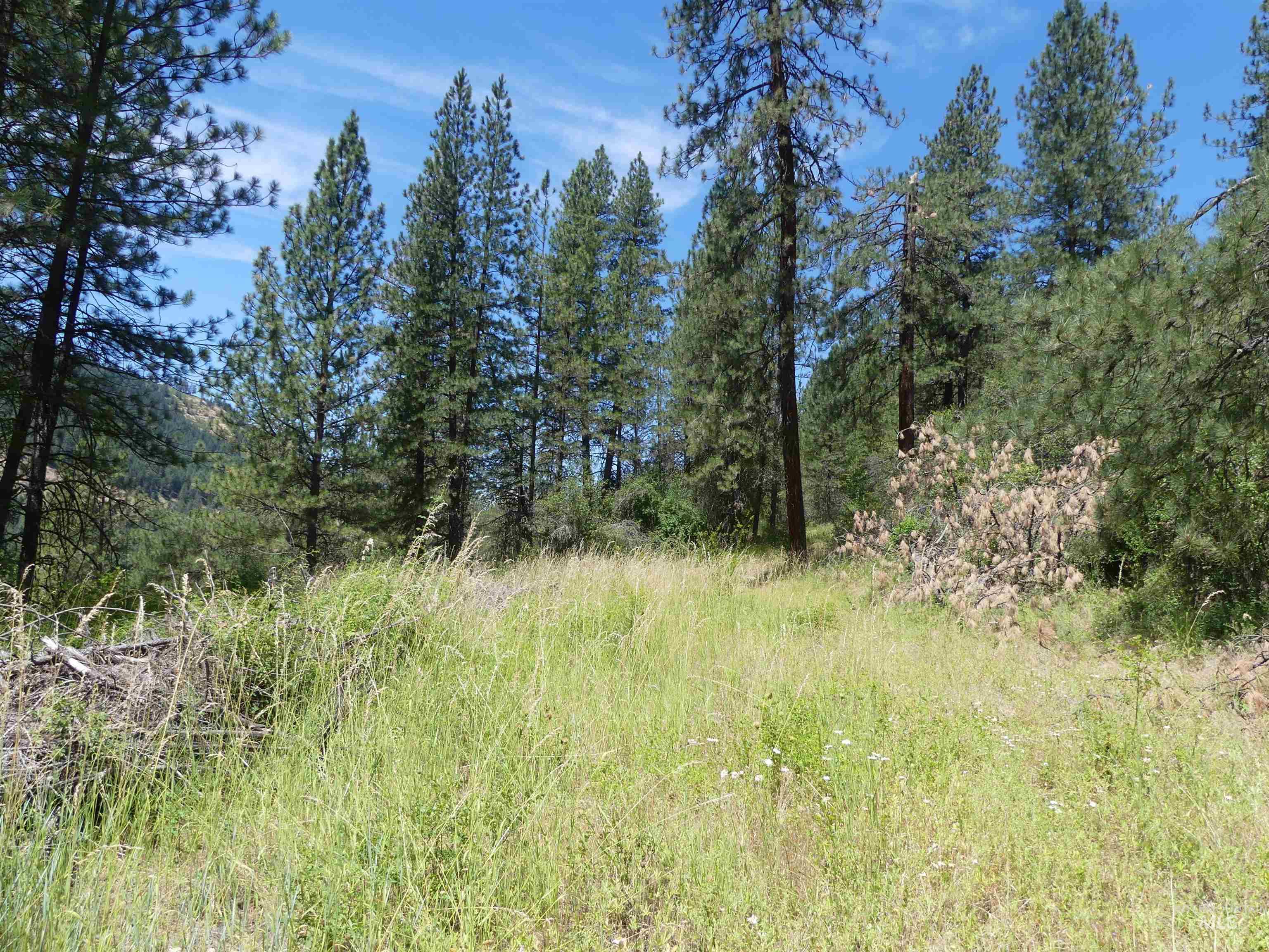 46601 Little Canyon Road Orofino, ID 83544 - Photo 41 of 46