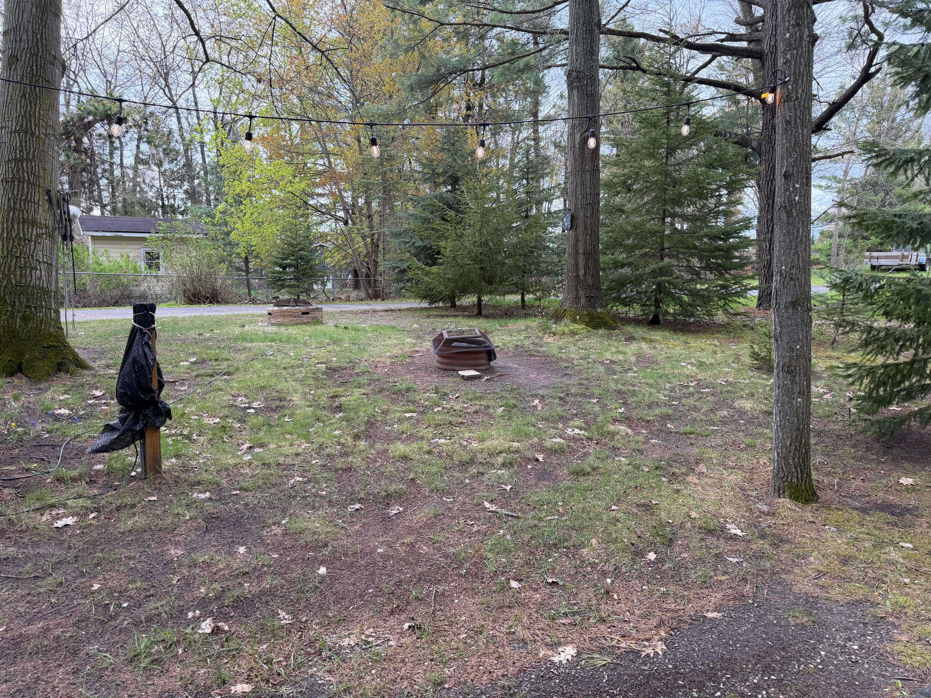 580 Long Rapids Road Alpena, MI 49707 - Photo 33 of 45 PRETTY WOODLAND