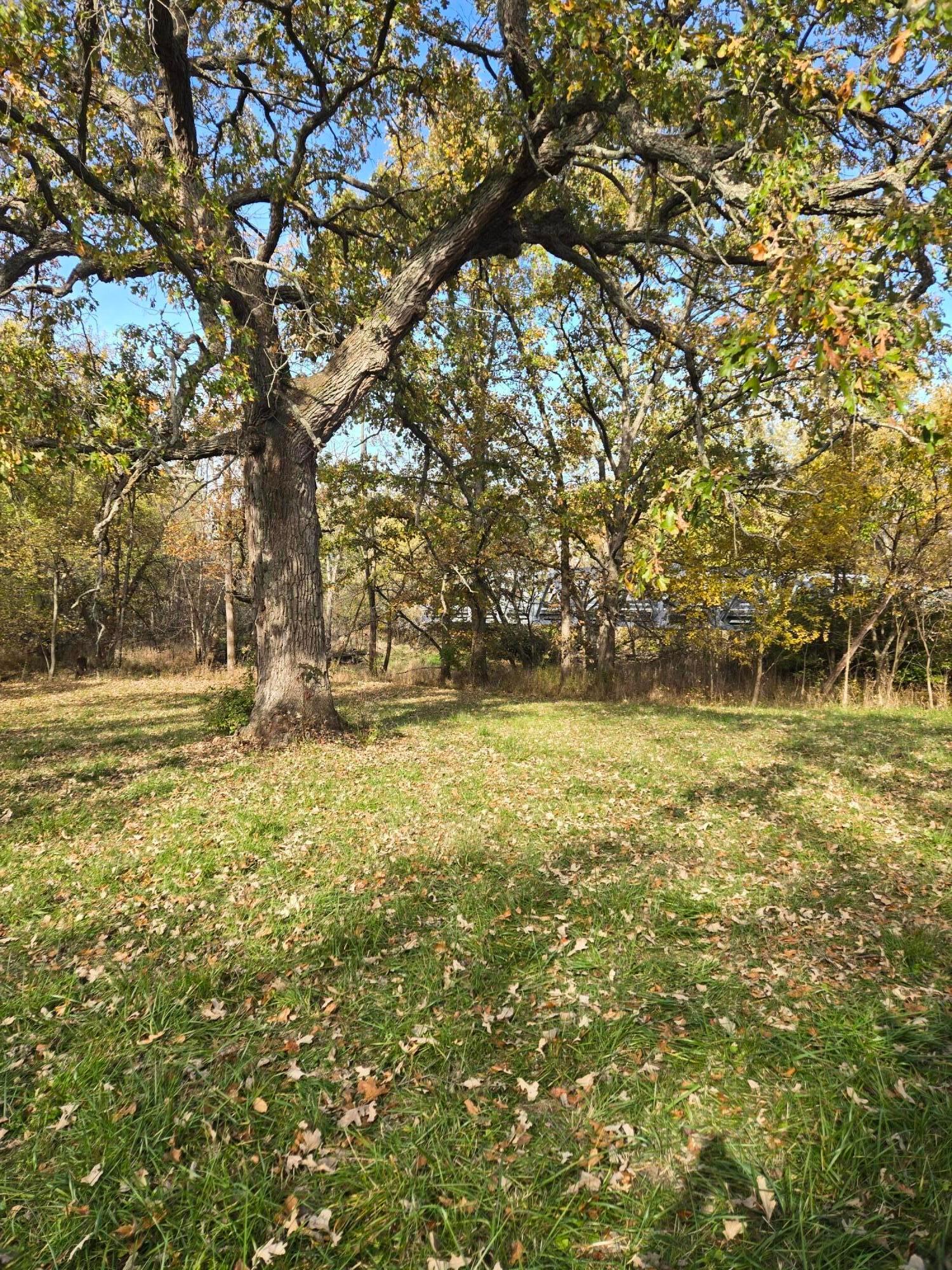 2209 Grewell Road London, OH 43140 - Photo 8 of 17 20241028_112230