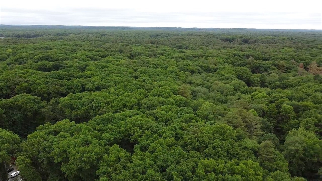 104 King George Drive Boxford, MA 01921 - Photo 15 of 19 a view of a lush green forest with trees and some houses