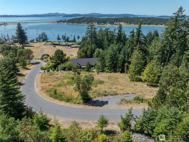 an aerial view of a house with a yard and lake view