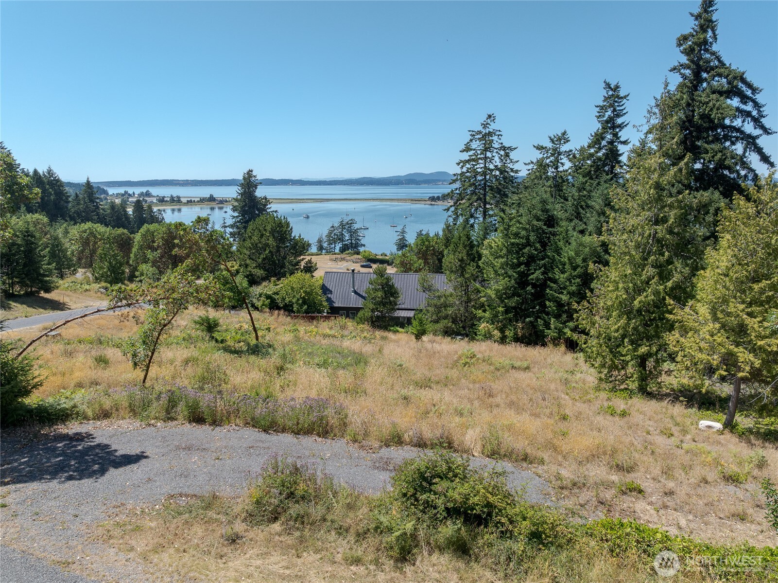 295 Rum Runner Road Lopez Island, WA 98261 - Photo 14 of 37 a view of a dry yard with wooden fence