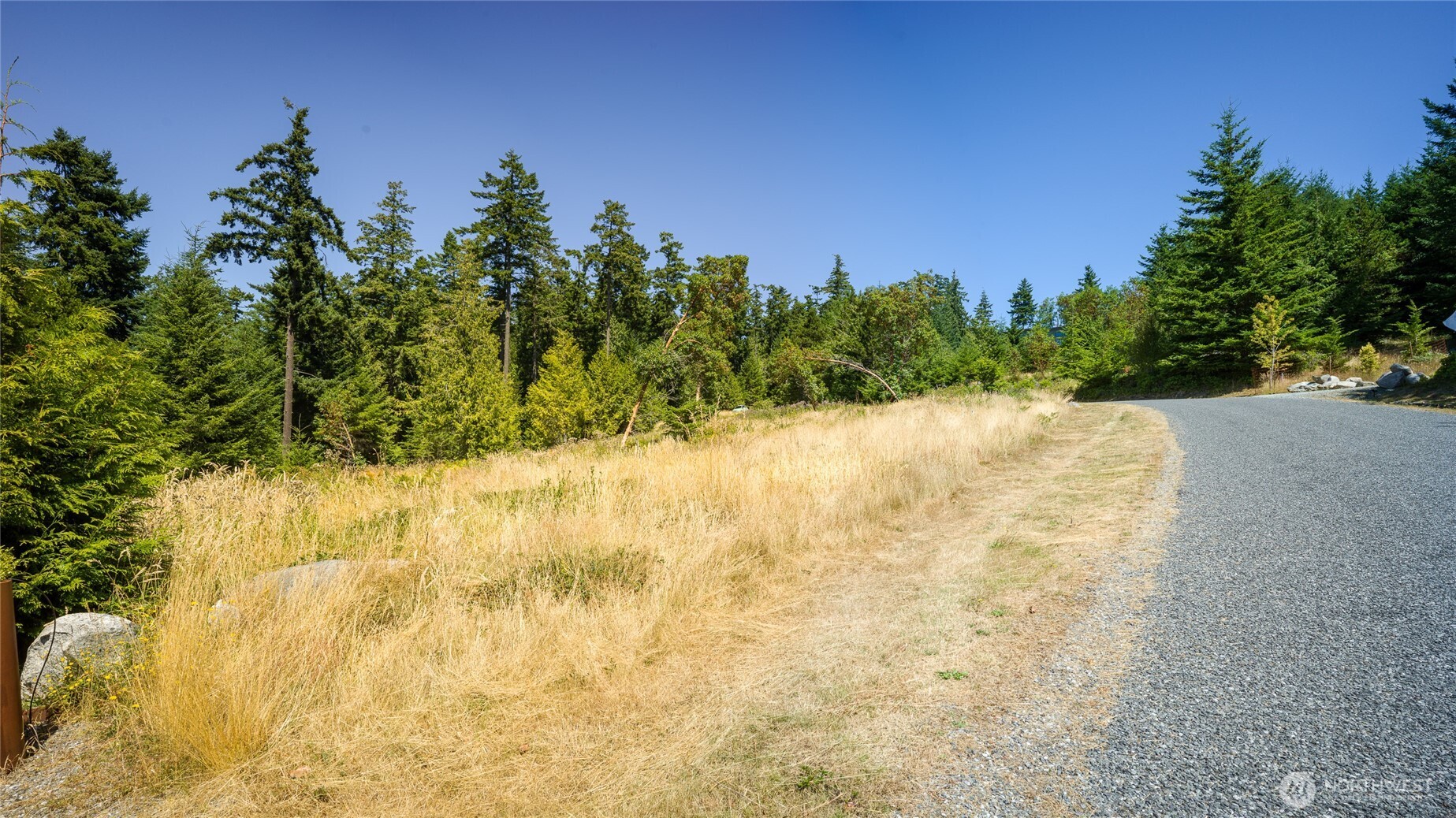 295 Rum Runner Road Lopez Island, WA 98261 - Photo 20 of 37 a view of a yard with trees