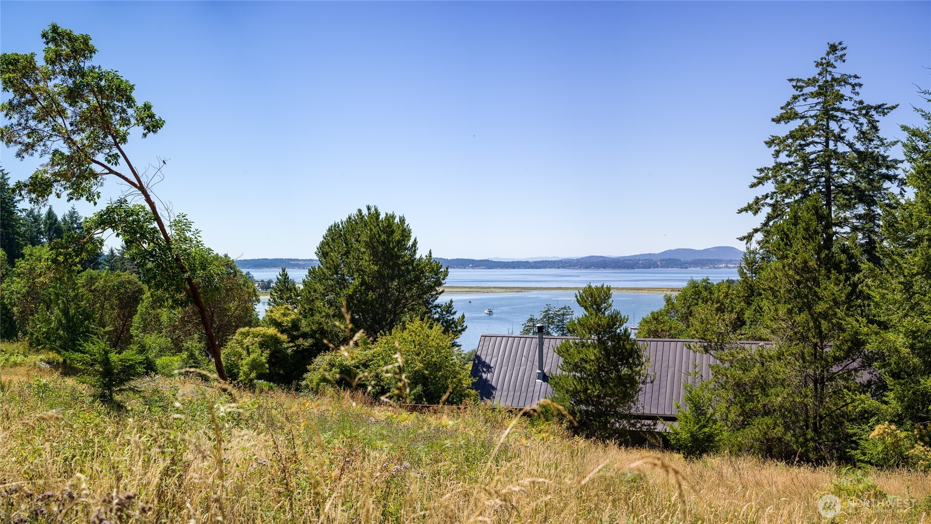 295 Rum Runner Road Lopez Island, WA 98261 - Photo 21 of 37 a view of a garden