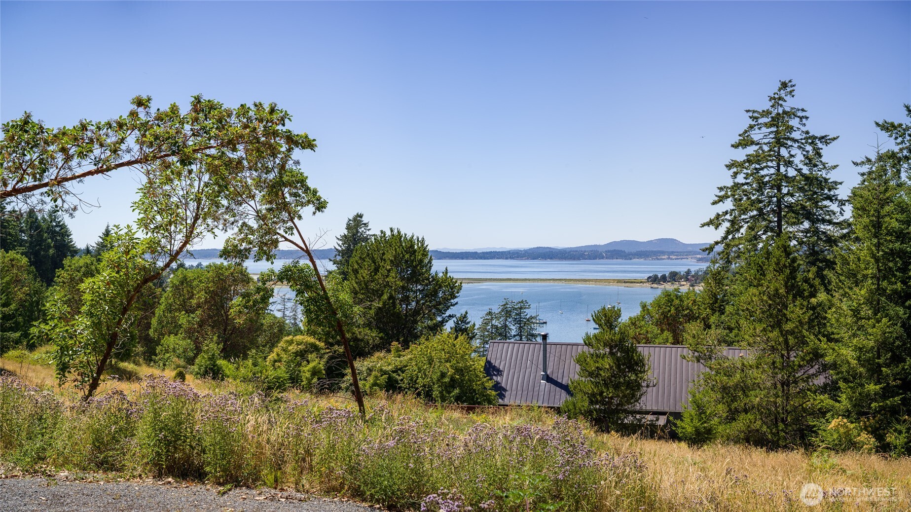 295 Rum Runner Road Lopez Island, WA 98261 - Photo 22 of 37 a view of a yard