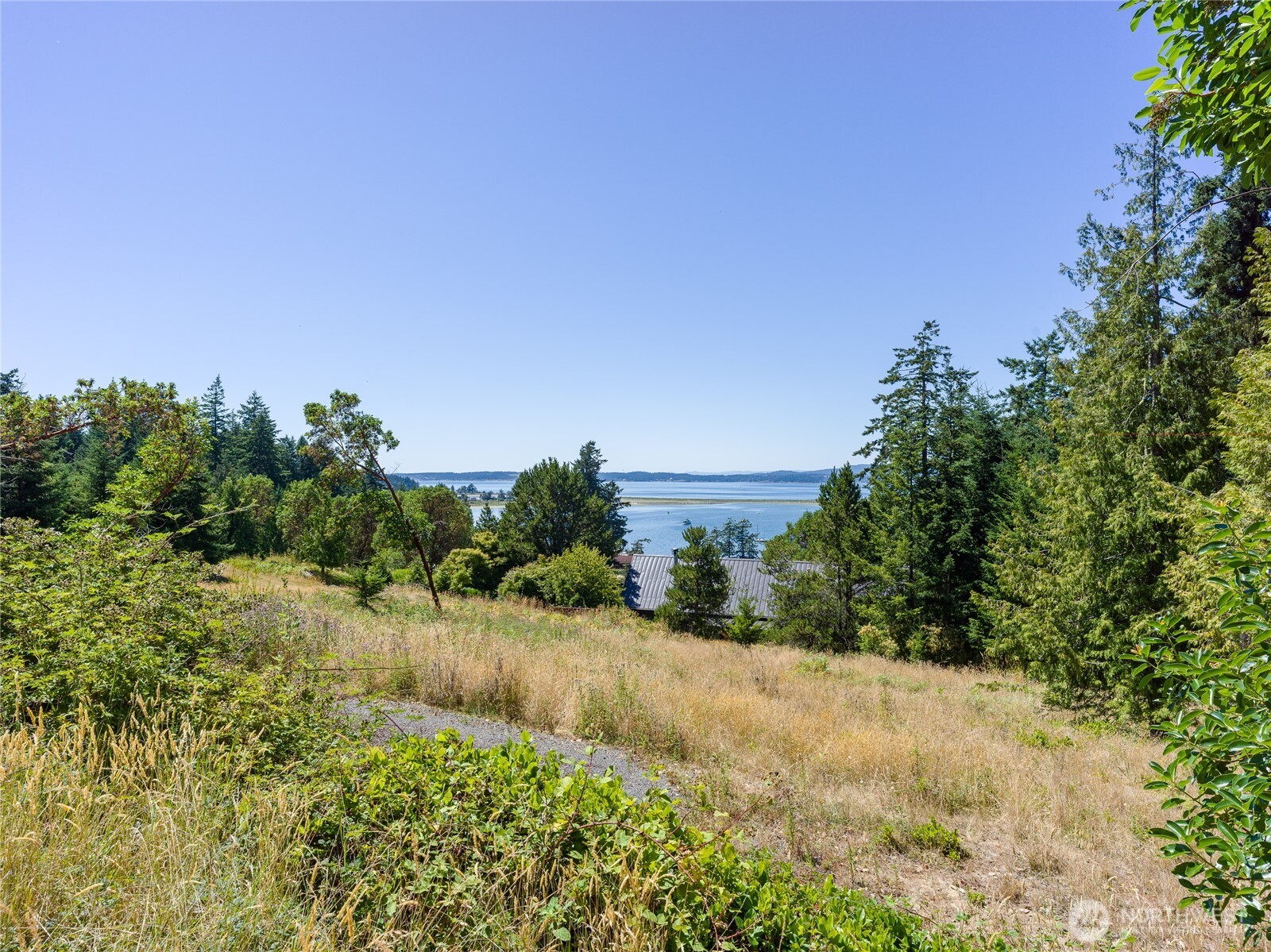 295 Rum Runner Road Lopez Island, WA 98261 - Photo 24 of 37 a view of a yard