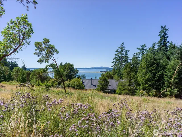 a view of a yard with a tree