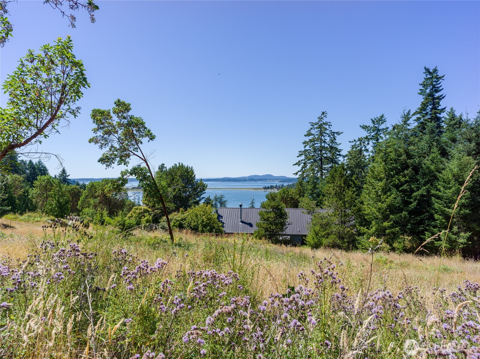 295 Rum Runner Road Lopez Island, WA 98261 - Photo 25 of 37 a view of a garden with a flower in a garden