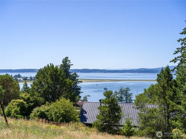 a view of a back yard