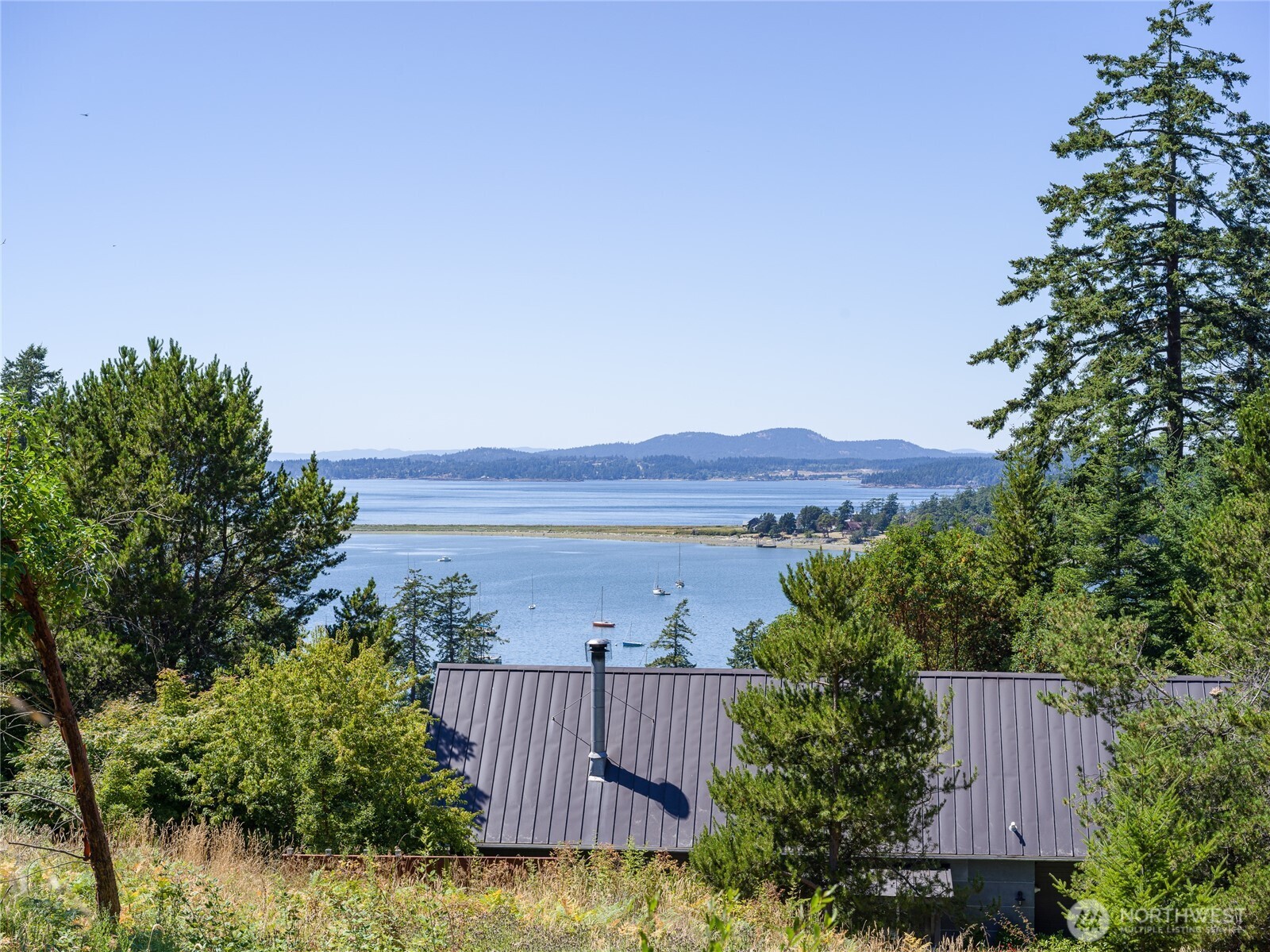 295 Rum Runner Road Lopez Island, WA 98261 - Photo 29 of 37 a view of a back yard