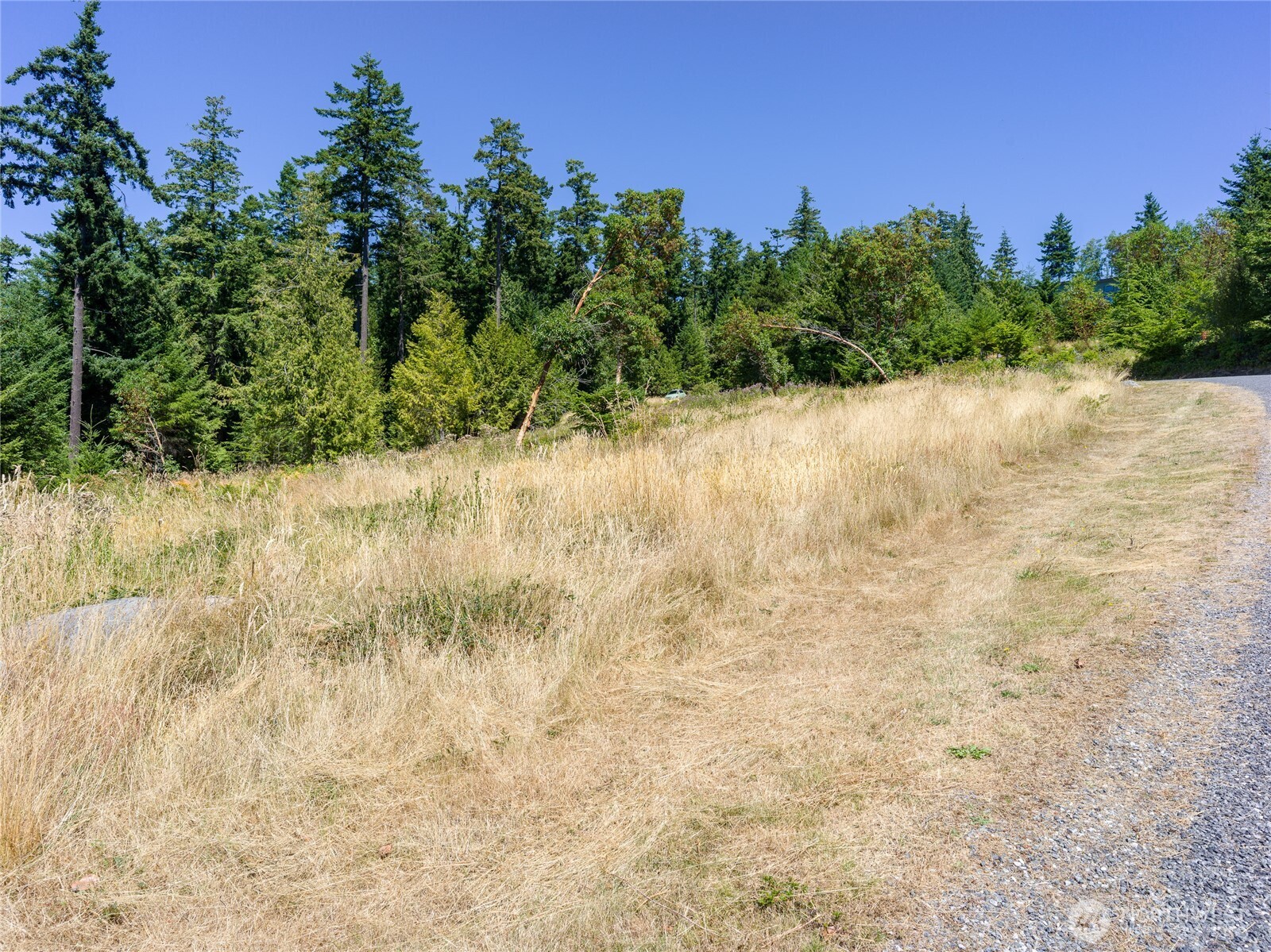 295 Rum Runner Road Lopez Island, WA 98261 - Photo 31 of 37 a view of a yard with trees