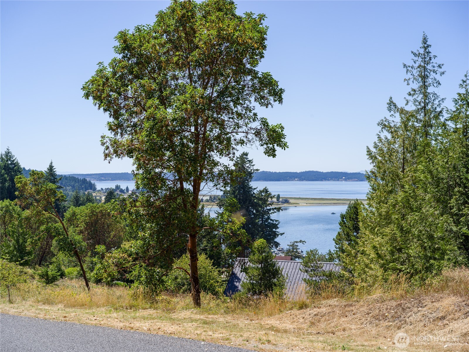 295 Rum Runner Road Lopez Island, WA 98261 - Photo 34 of 37 a aerial view of a yard