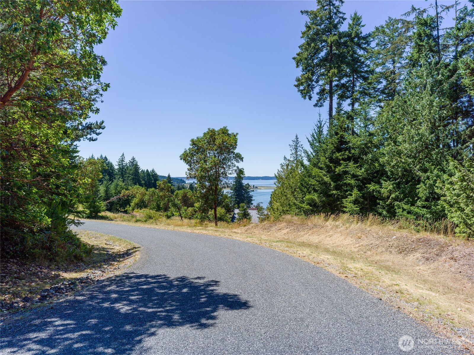 295 Rum Runner Road Lopez Island, WA 98261 - Photo 35 of 37 a view of a road with a trees in the background