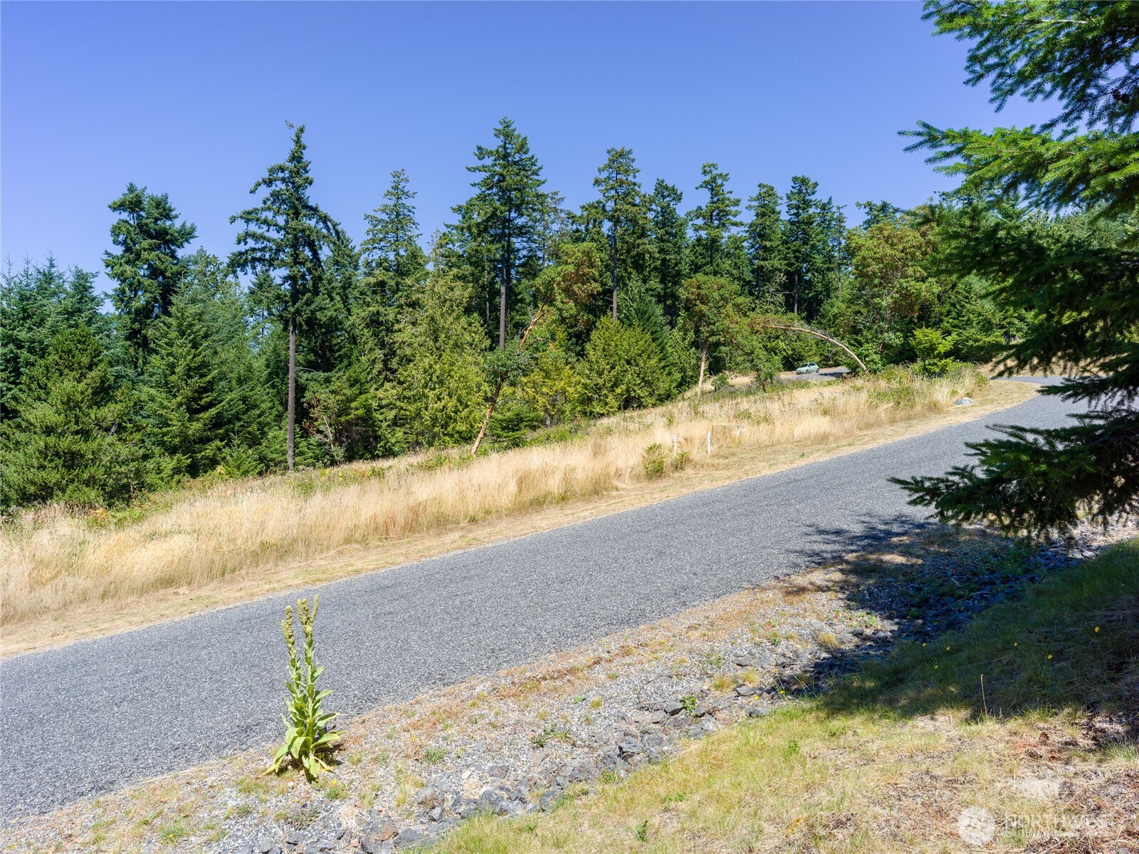 295 Rum Runner Road Lopez Island, WA 98261 - Photo 37 of 37