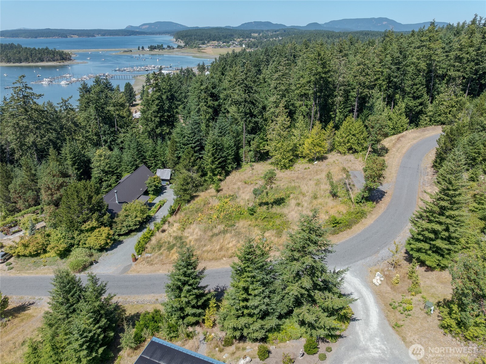 295 Rum Runner Road Lopez Island, WA 98261 - Photo 4 of 37 a view of a city with mountains in the background