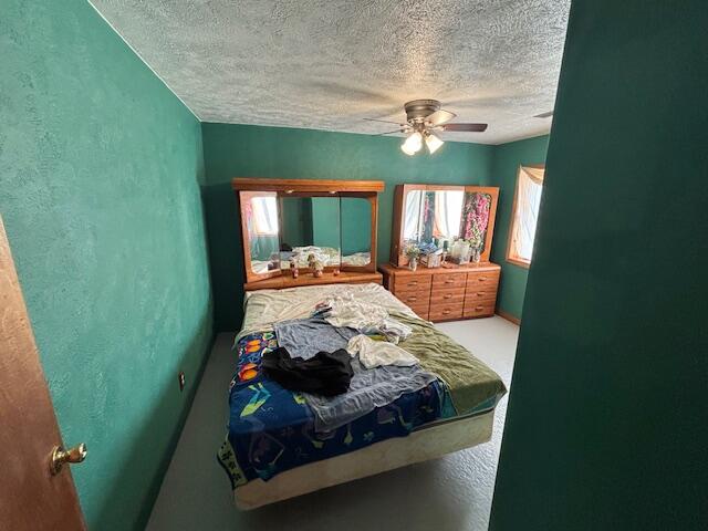 1637 North State Road Ionia, MI 48846 - Photo 14 of 25 BACK MASTER BEDROOM