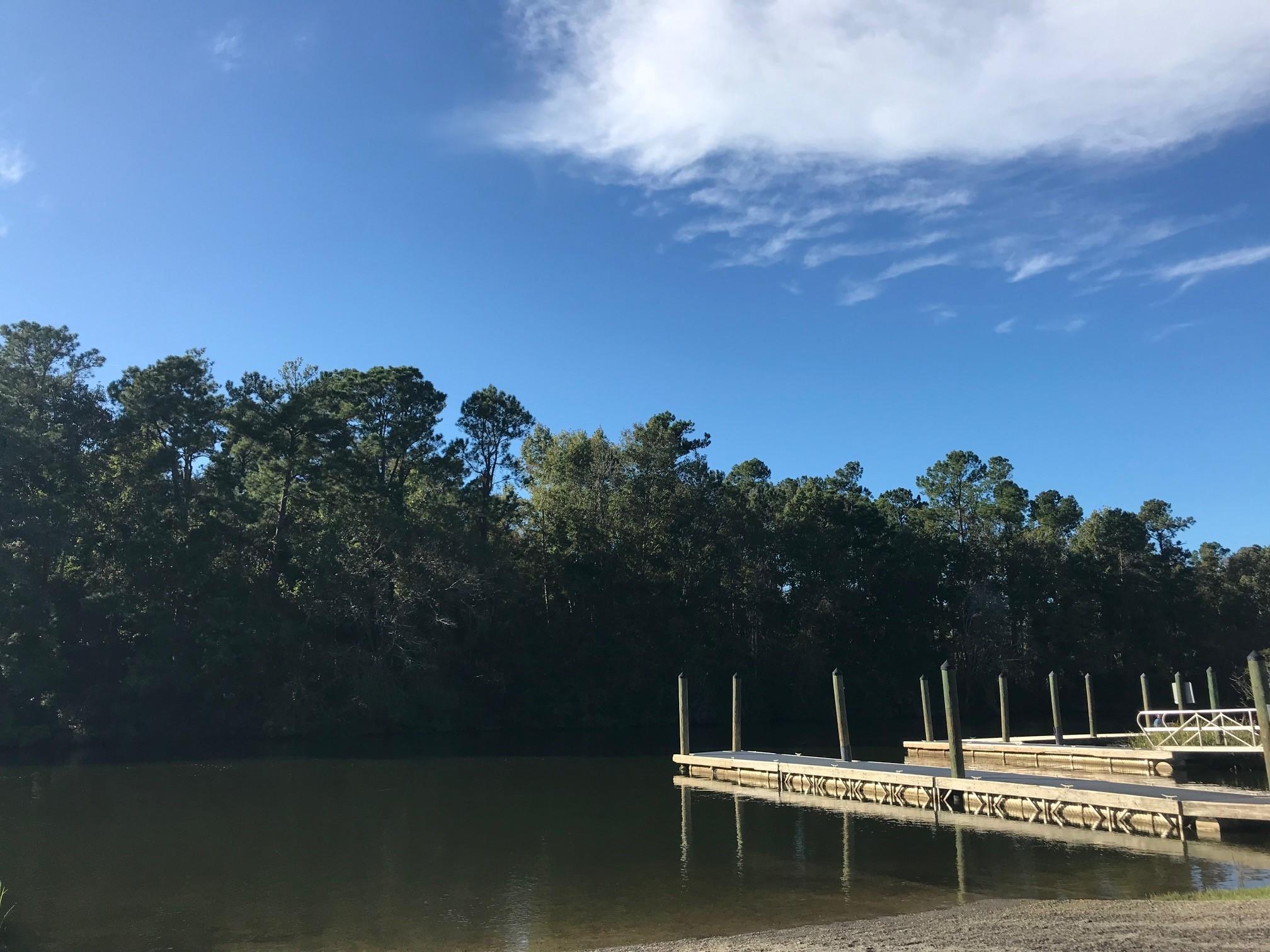 209 Goshen Road Moncks Corner, SC 29461 - Photo 43 of 46 Local Marina!