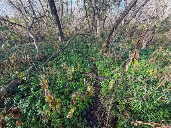 $115,000 | 26 St Houston Mn 55943, Houston, MN 55943