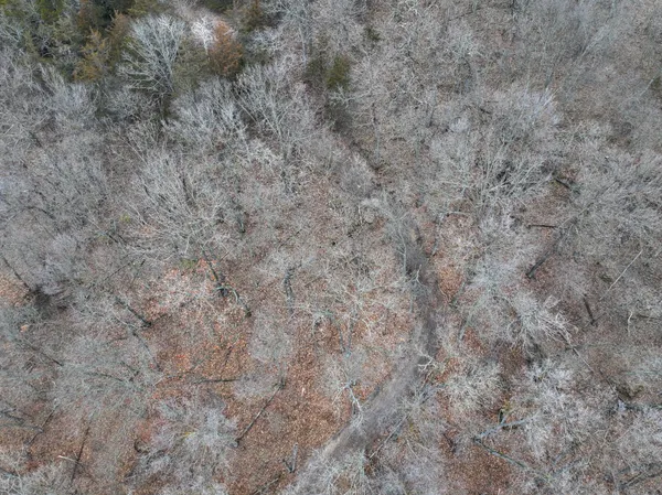 $115,000 | 26 St Houston Mn 55943, Houston, MN 55943