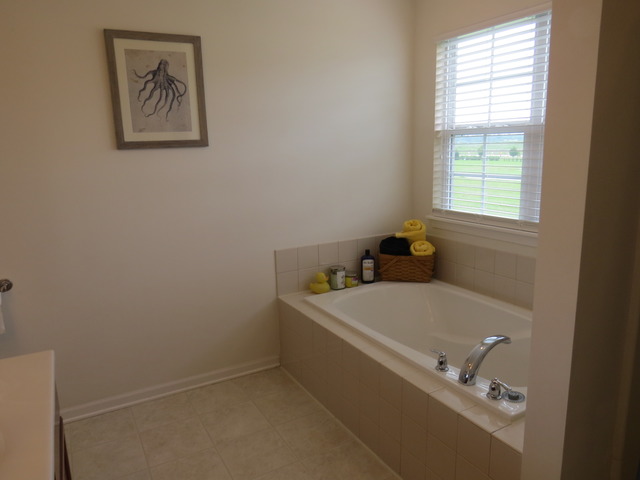 1124 Freedom Road Elburn, IL 60119 - Photo 14 of 24