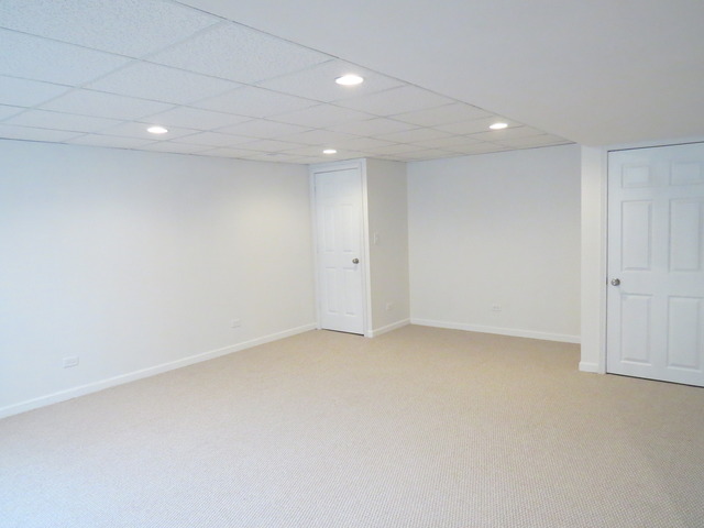 1124 Freedom Road Elburn, IL 60119 - Photo 19 of 24