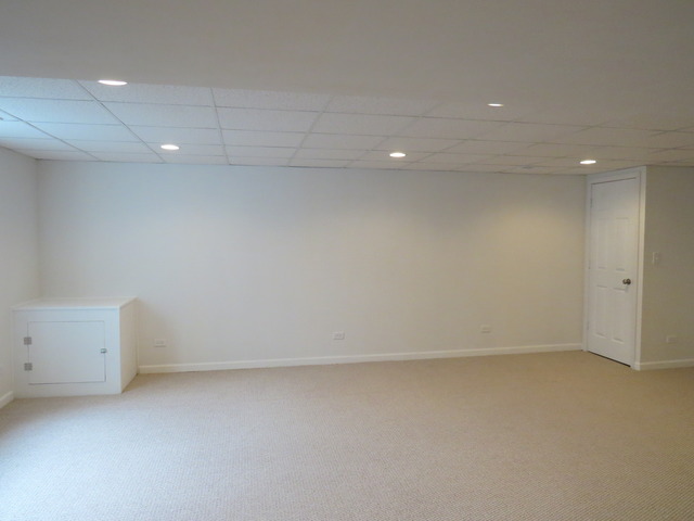 1124 Freedom Road Elburn, IL 60119 - Photo 20 of 24