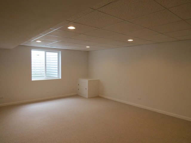1124 Freedom Road Elburn, IL 60119 - Photo 21 of 24