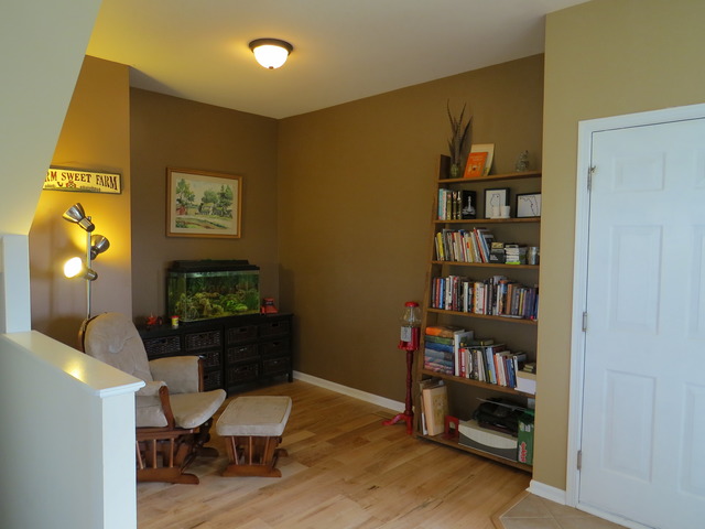 1124 Freedom Road Elburn, IL 60119 - Photo 6 of 24