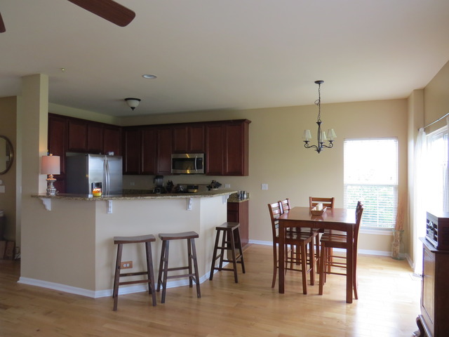 1124 Freedom Road Elburn, IL 60119 - Photo 7 of 24