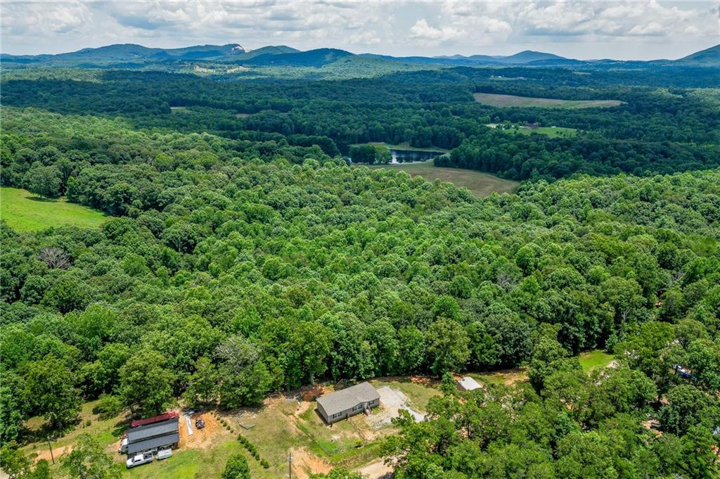 526 Silver Falls Road Cleveland, GA 30528 - Photo 38 of 41