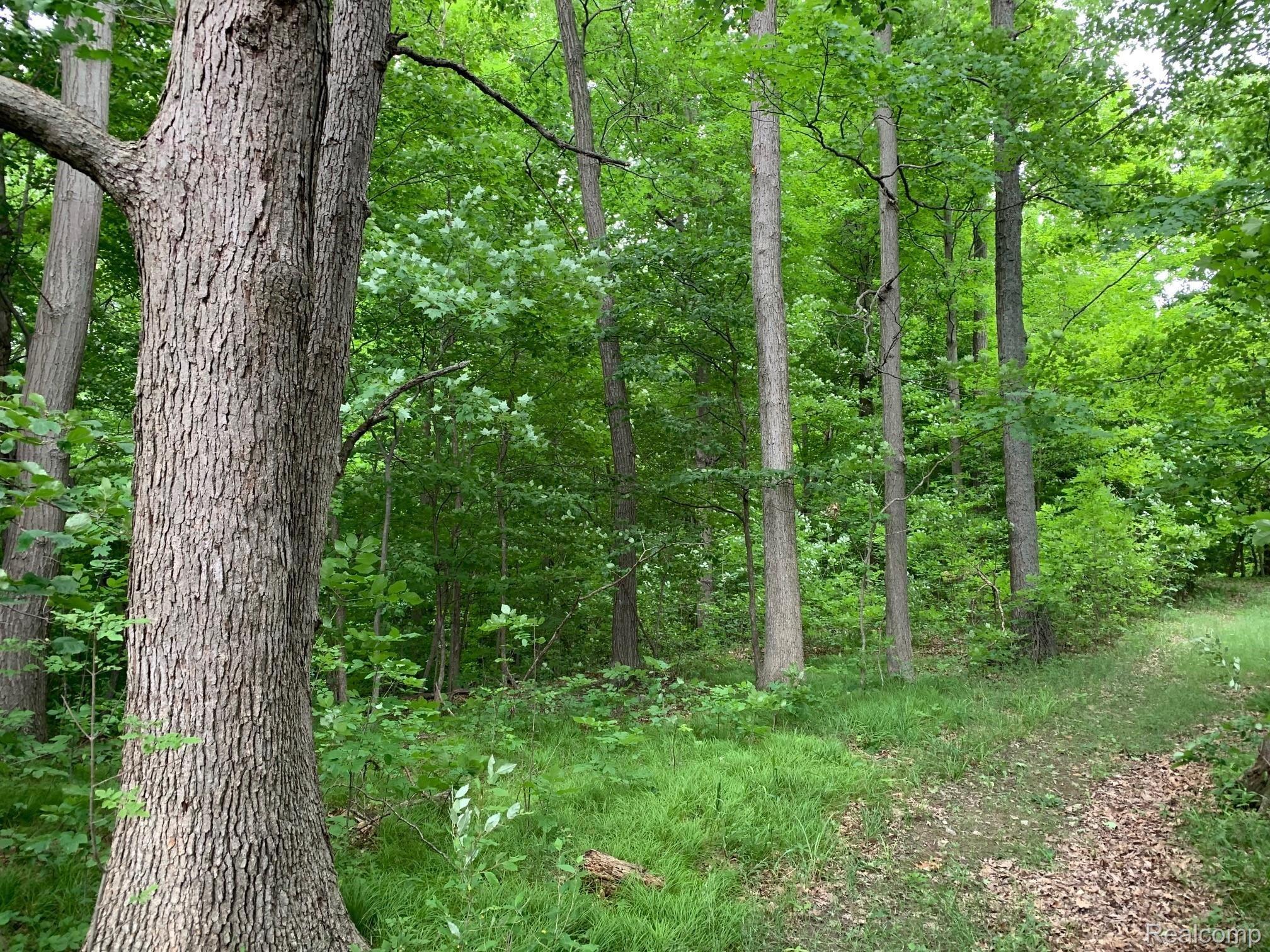 1395 Hadley Road Lapeer, MI 48446 - Photo 10 of 45 IMG_7971.jpg