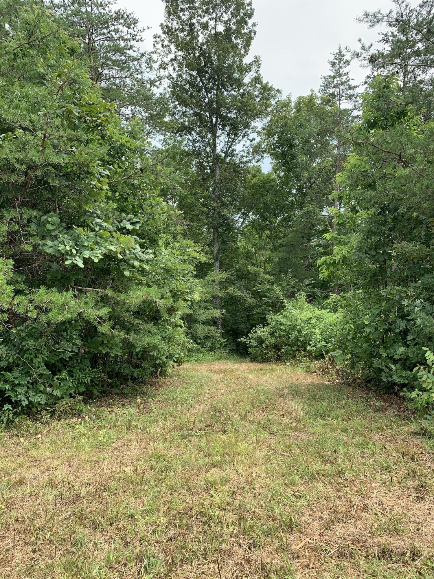485 Frye Road Nancy, KY 42544 - Photo 10 of 18 EZjE%WbzToevBmaeq+9EuQ