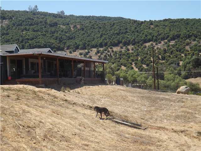 14420 Rios Canyon Road El Cajon, CA 92021 - Photo 23 of 25 wonderful deck right off the living room. This is perfect for horse property. You can build your barn and arena in the pasture down below and sit on the deck overlooking your horses while enjoying amazing views! (puppy not included!)