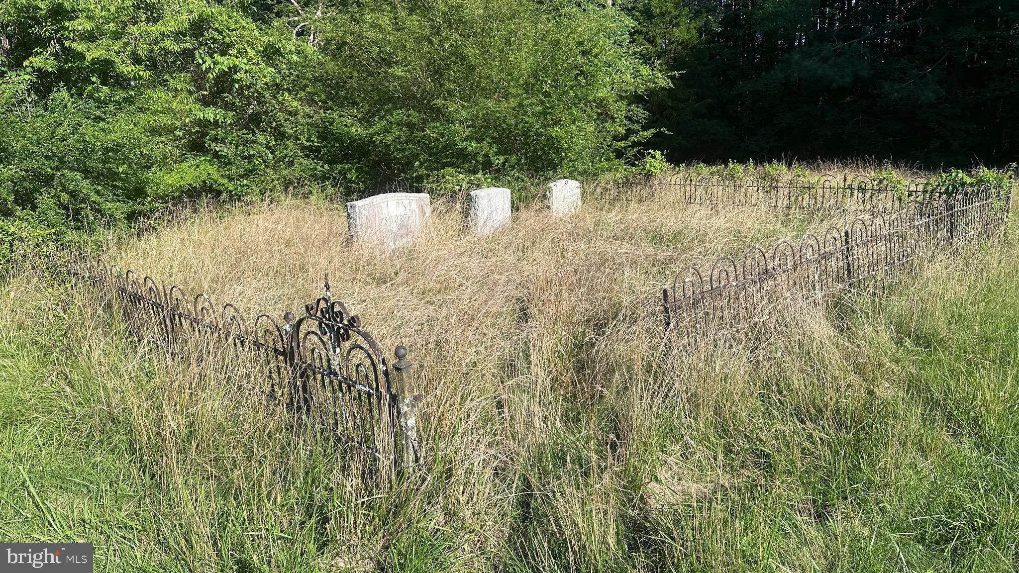 2788 Great Oak Road Warfield, VA 23889 - Photo 64 of 68 Short Family Cemetery