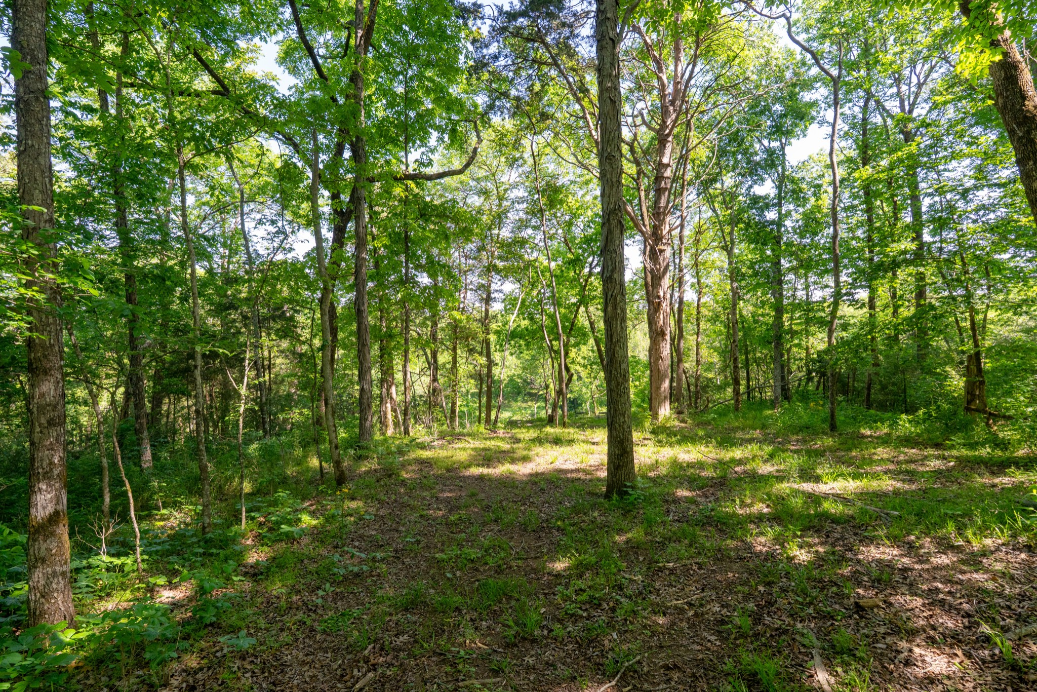 3680 Clark Road Lewisburg, TN 37091 - Photo 43 of 97 Gallery Image 43