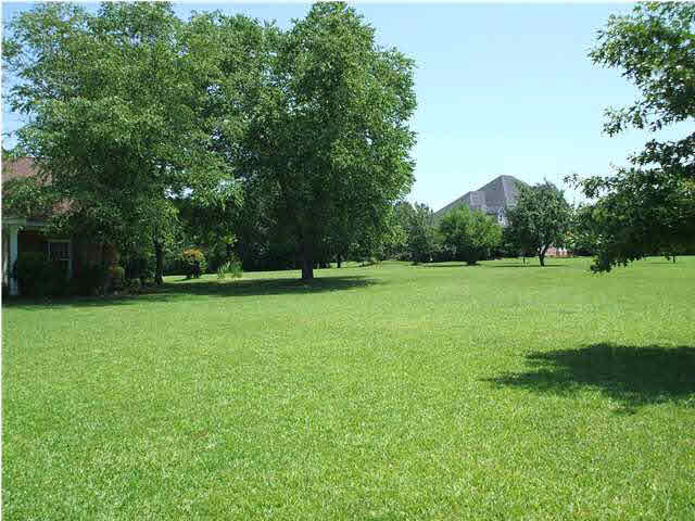 152 Sundown Road Madison, MS 39110 - Photo 2 of 25 Photo 2