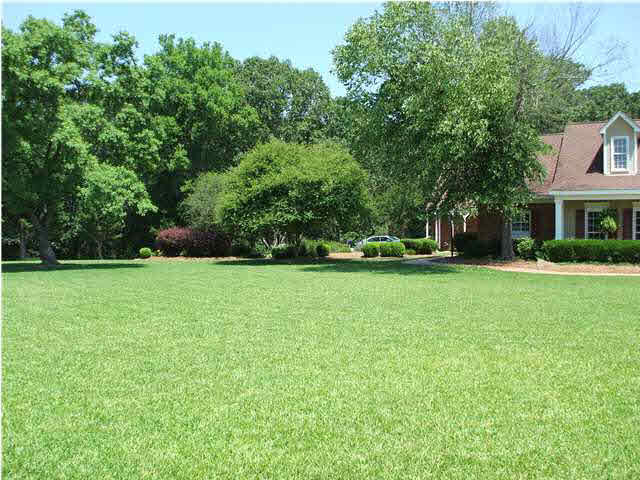 152 Sundown Road Madison, MS 39110 - Photo 3 of 25 Photo 3